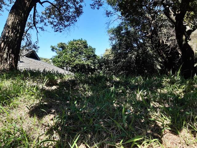 #118 - Terreno para Venda em Santana de Parnaíba - SP - 3