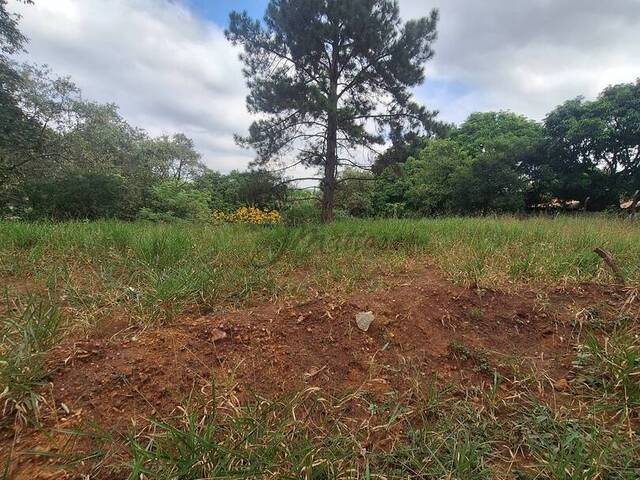 #181 - Área para Venda em Santana de Parnaíba - SP - 3