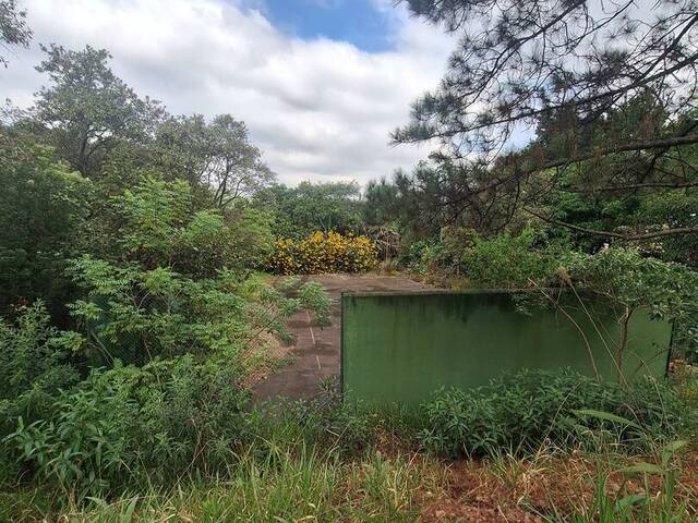 Área para Venda em Santana de Parnaíba - 5